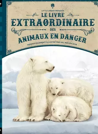 Le livre extraordinaire