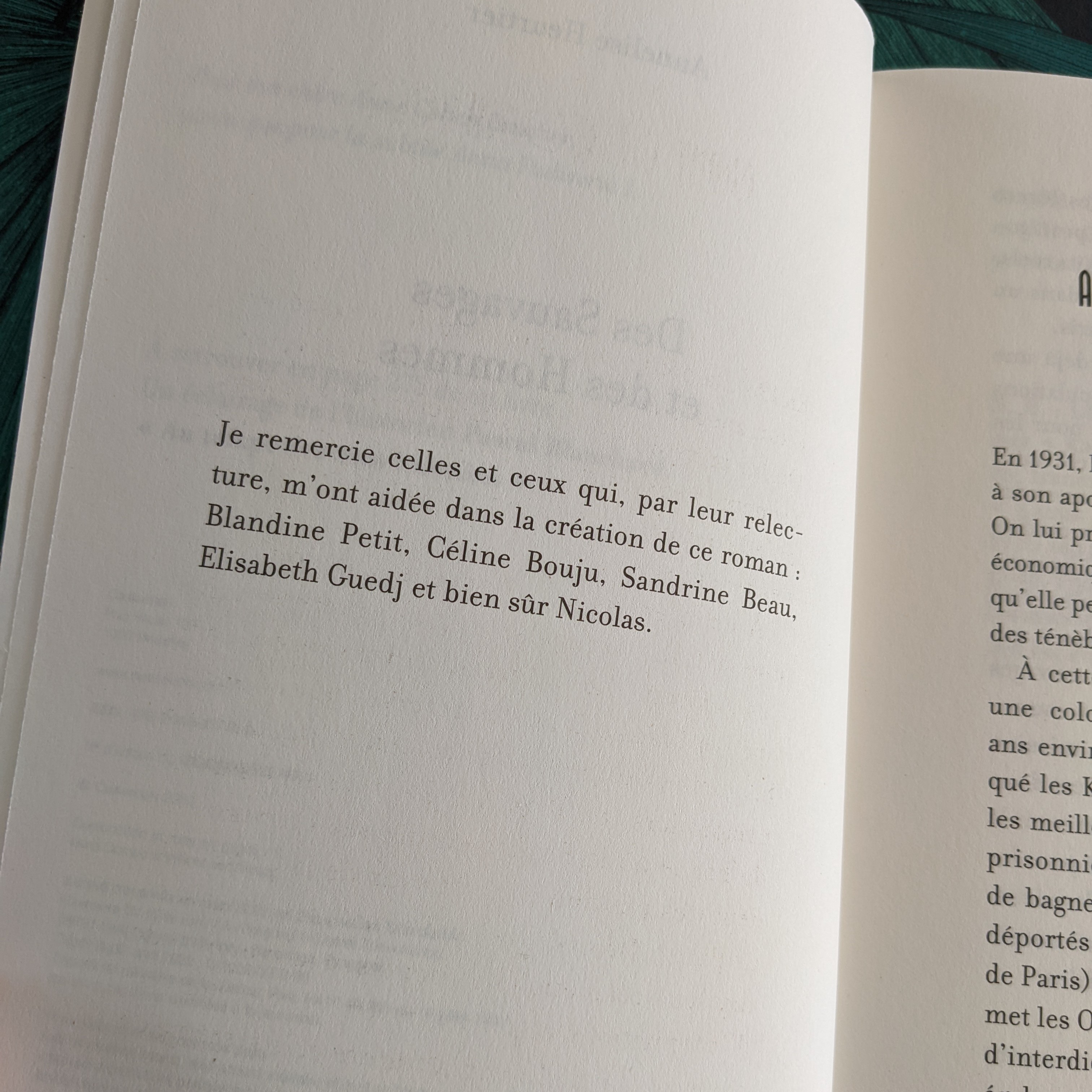 Merci Annelise Heurtier