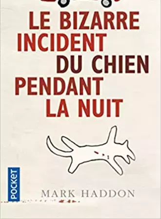 Le bizarre incident du chien pendant la nuit